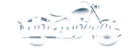 logo-img